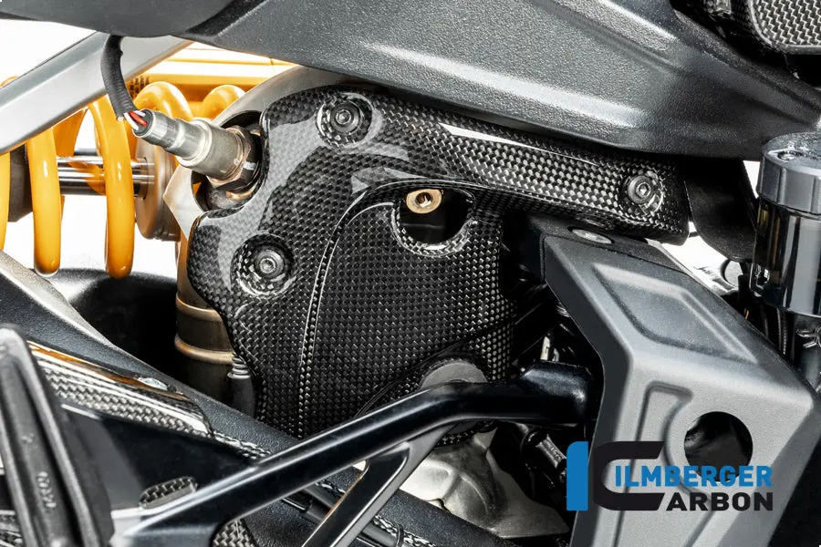Exhaustprotection On The Manifold Gloss Diavel 1260 1