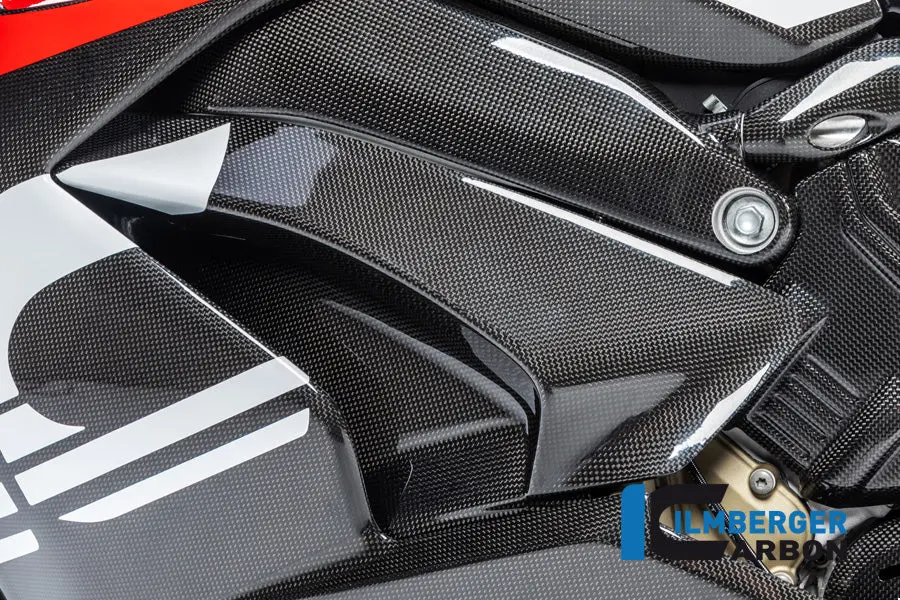 Side Panel Under The Tank Left Gloss Panigale V4 / V4 S 1