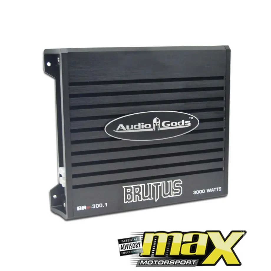 Audio Gods Brutus Series Monoblock Amplifier (3000W) 1
