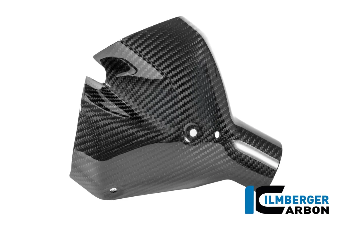 Exhaust Heat Shield Front Carbon Glossy Bmw R 1300 R 1