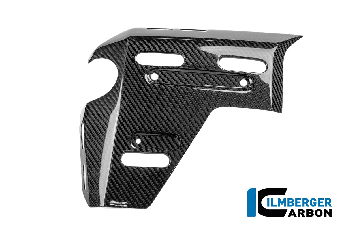 Left Water Radiator Cover With Holes For The Luggage Holder Carbon Glossy R 1300 Gs Adventure 1