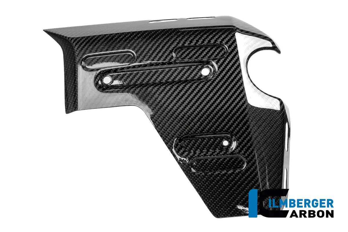 Rechter Kühlerdeckel Carbon Glänzend R 1300 Gs Adventure 1