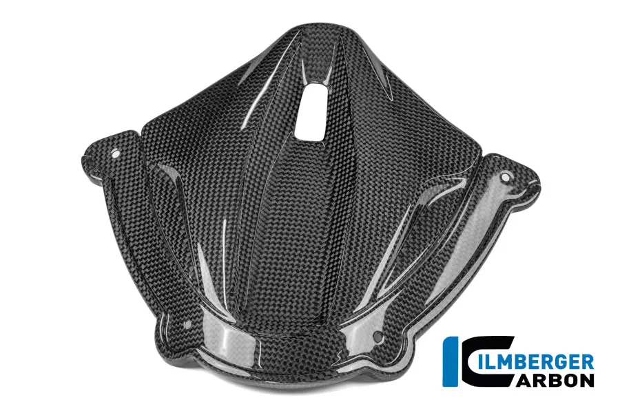 Instrument Cover Carbon Gloss Panigale V4 2025 1