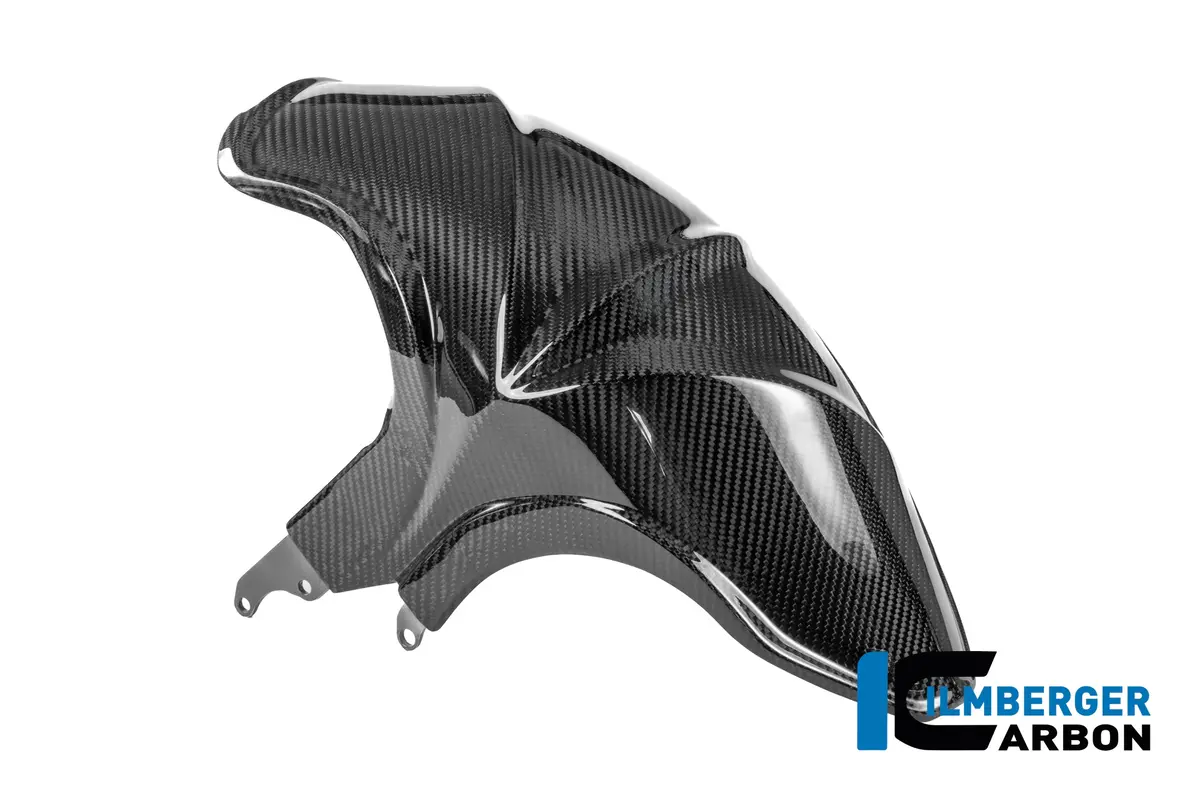 Rear Fender Carbon Glossy Bmw R 1300 R 1