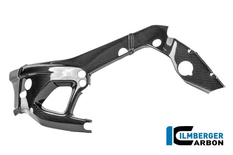 Frame Protector Left Carbon Gloss M 1000 Rr Street (From 2025) 1