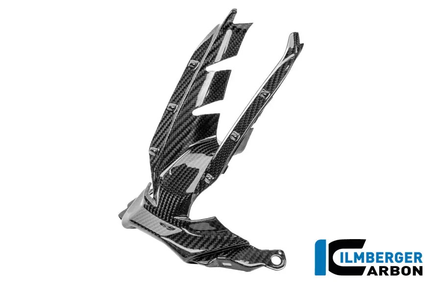 Air Intake Carbon Gloss S 1000 Rr Street (From 2025) 1