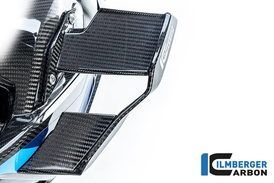 Winglet Left Bmw M1000r 2023 1