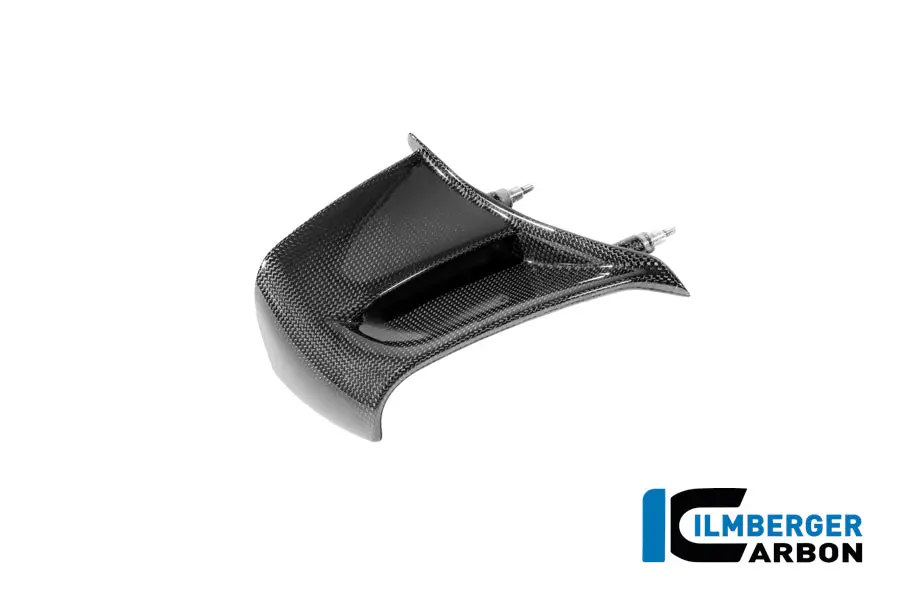 Right Winglet Gloss Carbon Panigale V4 2025 1
