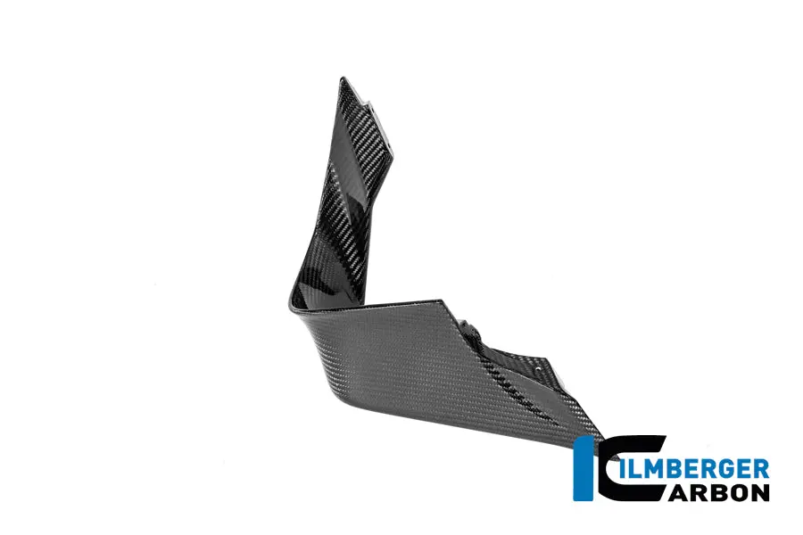 Left Winglet Bmw M 1000 Rr 2025 1
