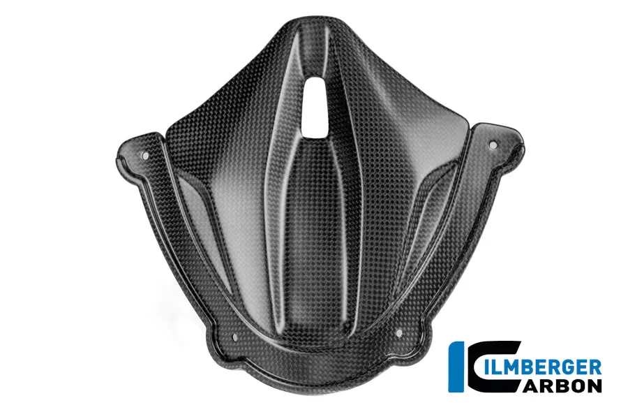 Instrument Cover Carbon Matte Panigale V4 2025 1