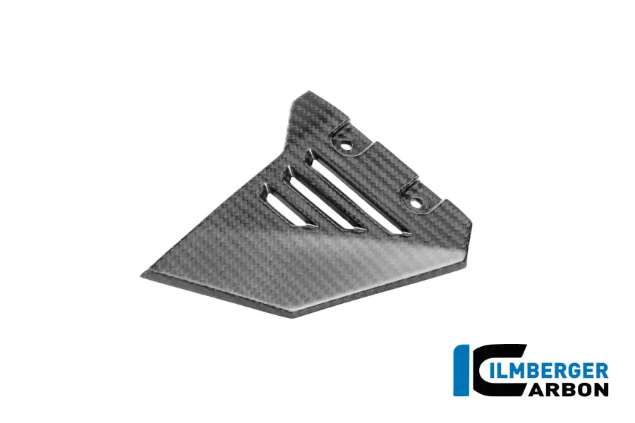 Vorderer Dreieckdeckel Für Hinteren Rahmen Links Carbon Matt R 1300 Gs Adventure 1