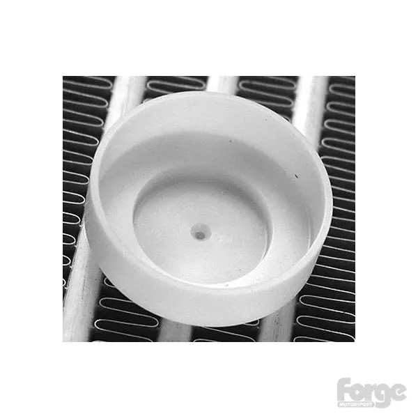 Dump Valve Retaining Cap 1
