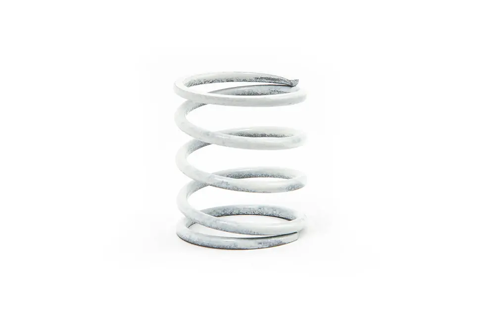 Dump Valve Spring (Single) 3