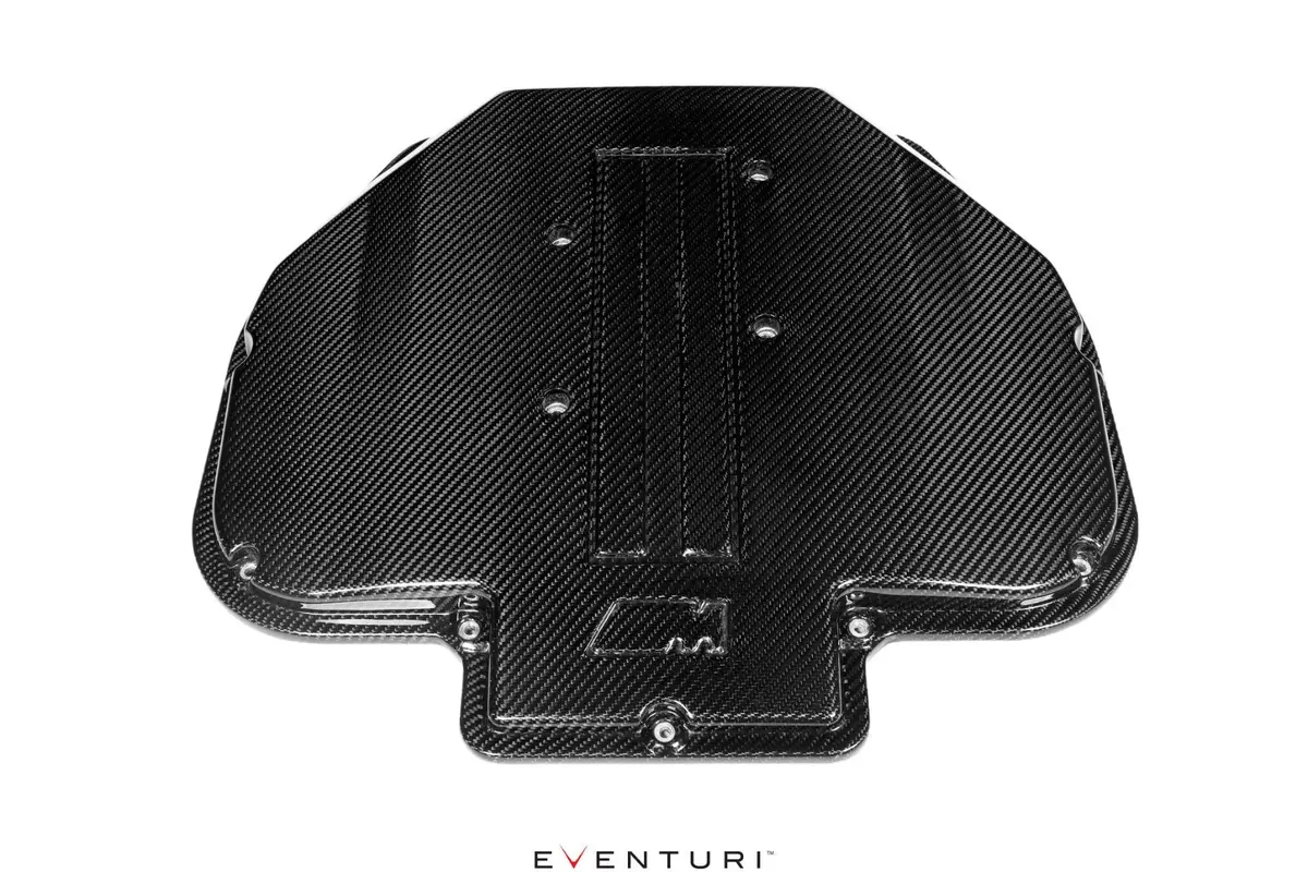 Bmw S62 V8 Carbon Plenum Lid For E39 M5 And Z8 1
