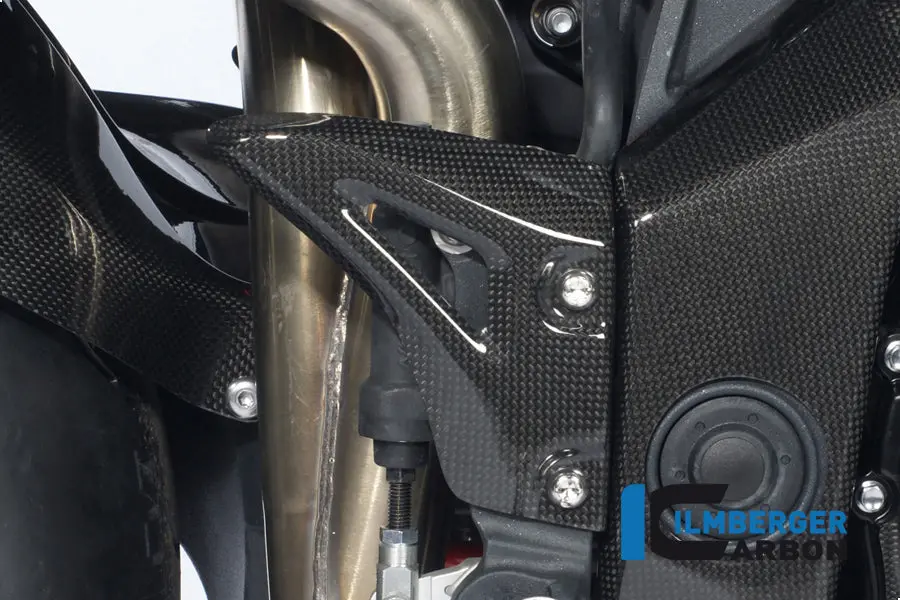 Right Heel Guard Carbon 1