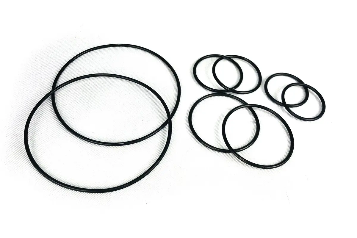 Waterman Oring Kit 1
