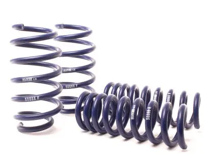 Dodge: 09-20 Challenger Rt, Srt & Srt8 - Sport Spring Kit - H&R Springs 1