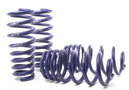 Bmw: 07-13 X5,  08-14 X6; (W/O Self-Leveling) - Sport Spring Kit - H&R Springs 1