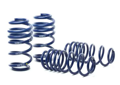 Audi:17-22 R8 V10 - Sport Spring Kit - H&R Springs 1