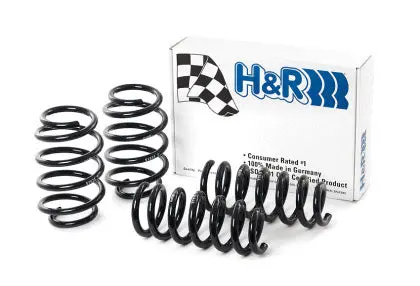 Ford: 09-19 Flex - Sport Spring Kit - H&R Springs 1