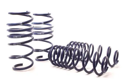 Ford: 11-19 Fiesta - Sport Spring Kit - H&R Springs 1