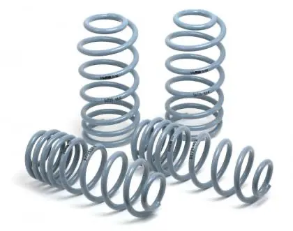 Acura: 94-01 Integra Dc (Non Type R) - Oe Sport Spring Kit - H&R Springs 1