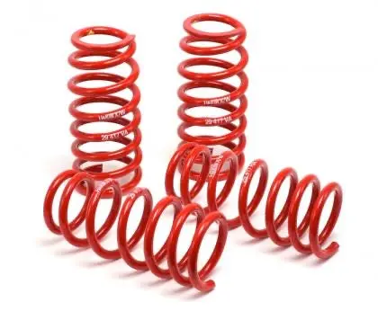 Ford:  00-05 Focus (Non Wagon) - Race Spring Kit - H&R Springs 1