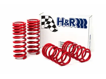 Ford: 79-04 Mustang Inc. Gt & Cobra - Race Spring Kit - H&R Springs 1