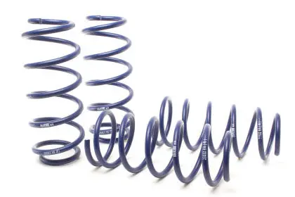 Land Rover: 12-20 Range Rover Evoque Coupe/5 Door - Adventure Raising Spring Kit - H&R Springs 1
