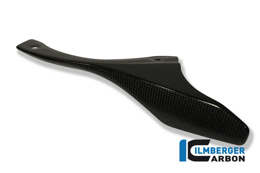 Chain Guard On The Swingarm Carbon 1