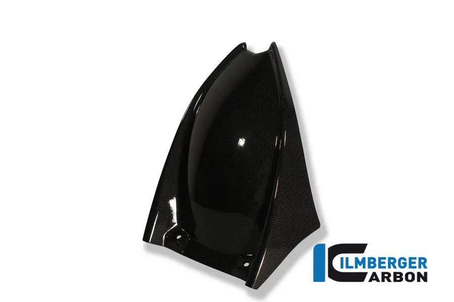 Rear Fender Carbon 1