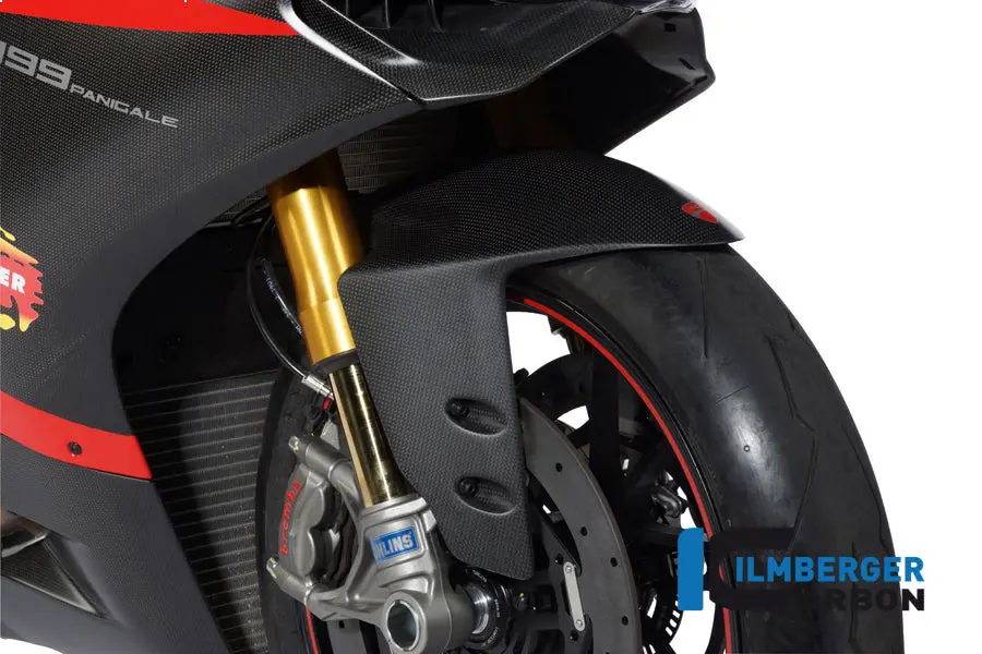 Front Fender Carbon 1