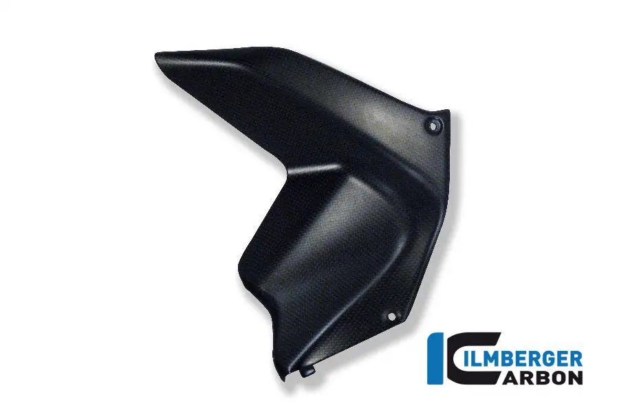 Air Deflector On Tank Side Panel Right Carbon 1