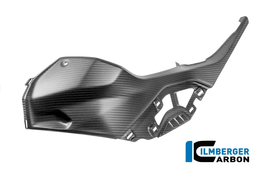 Left Side Cover On Tank Incl. Side Cover Insert Bmw S 1000 Rr From Year 2019 1