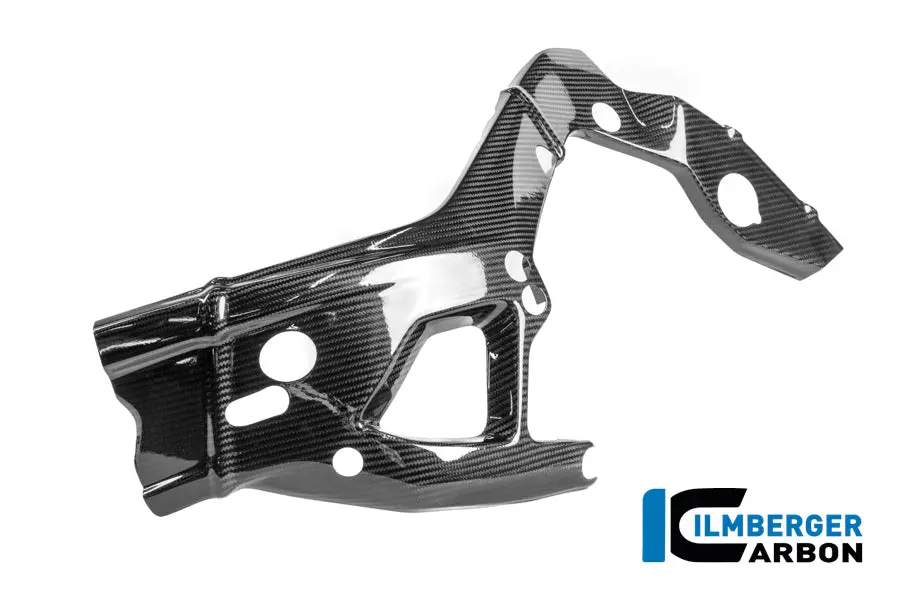 Rahmenschützer Links Carbon Glanz M 1000 Rr Racing (Ab 2025) 1