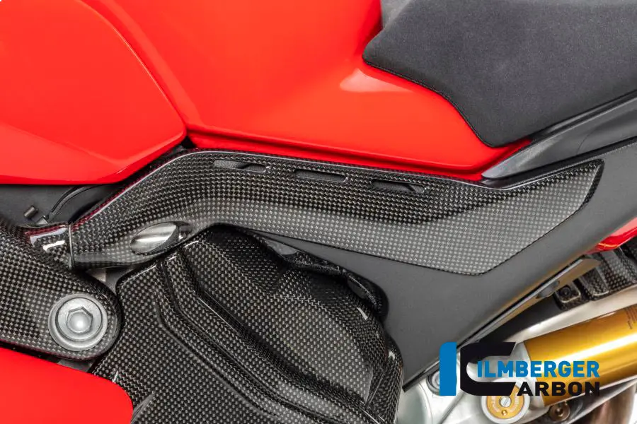 Sub Frame Protector Left Gloss Panigale V4 / V4 S 1