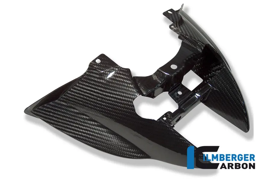 Taillight Cover Carbon 1