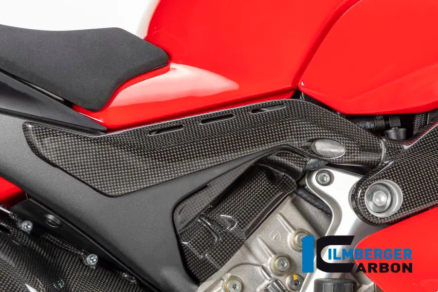 Sub Frame Protector Right Gloss Panigale V4 / V4 S 1