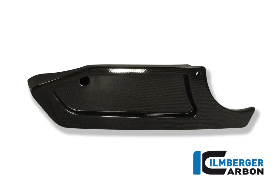 Belt Cover And Swingarm R/Cr Carbon 1