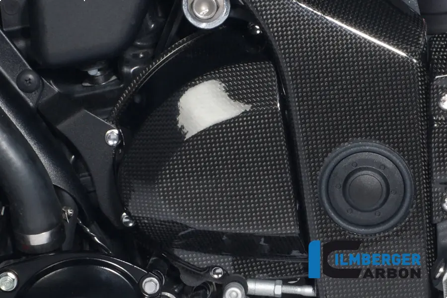 Sprocket Cover Carbon 1