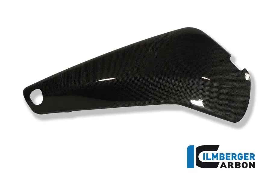 Swingarm Cover Right R/Cr Carbon. Buell 1125 R / 1125 Cr 1