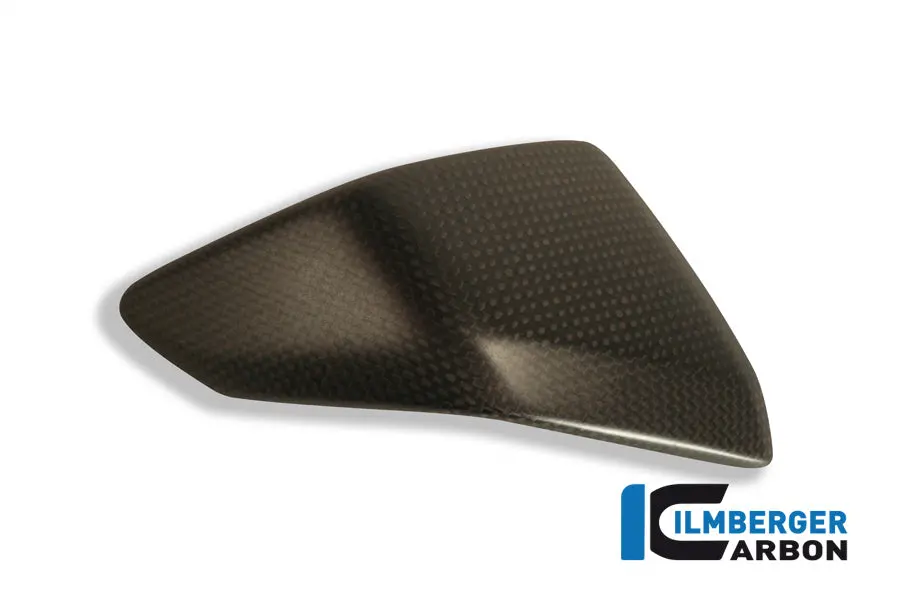 Left Side Fairing Insert Carbon 1