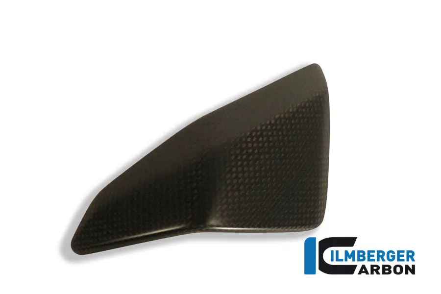 Right Side Fairing Insert Carbon 1