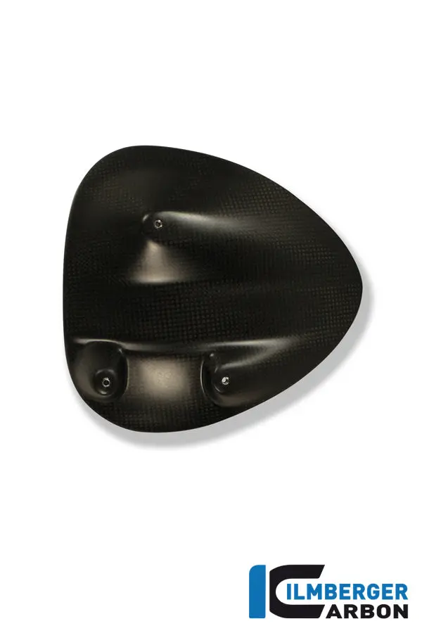 Rear Splash Guard Carbon 1