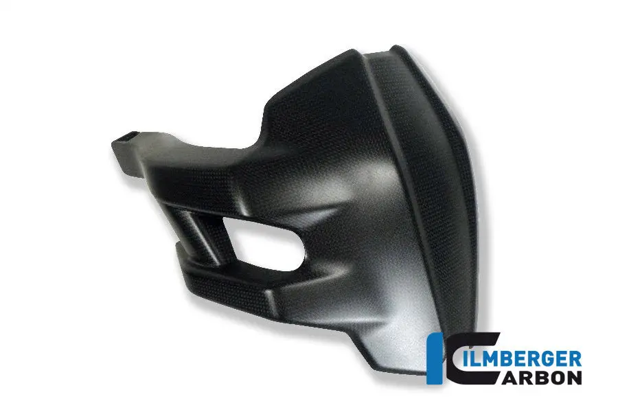 Rear Carbon Splash Guard 1