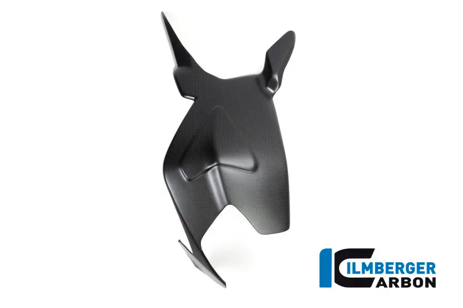 Swingarm Cover Carbon 2