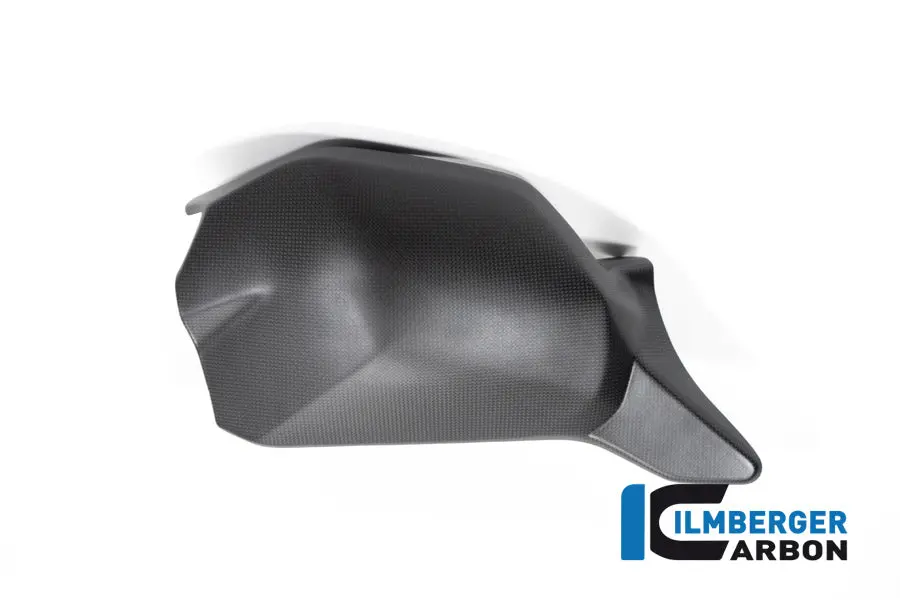 Swing Arm Cover Matt V4 Streetfighter 1