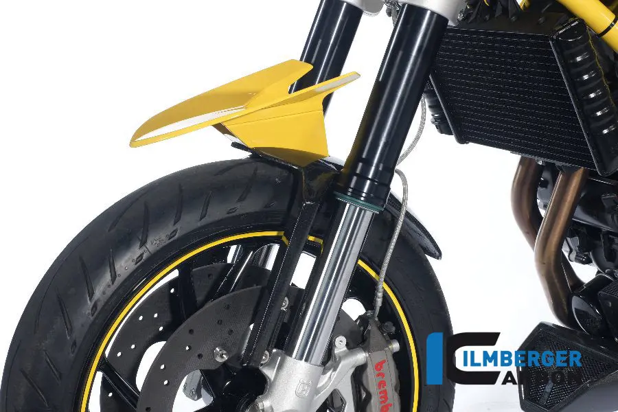 Front Fender (Fork Tube Cover Right And Left) Carbon 1