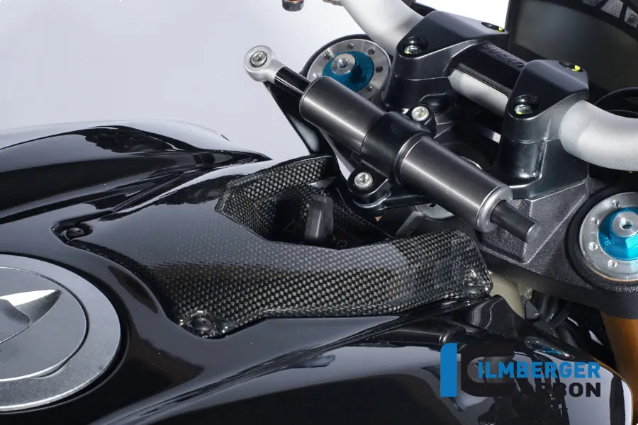 Ignition Lock Cover Carbon 1