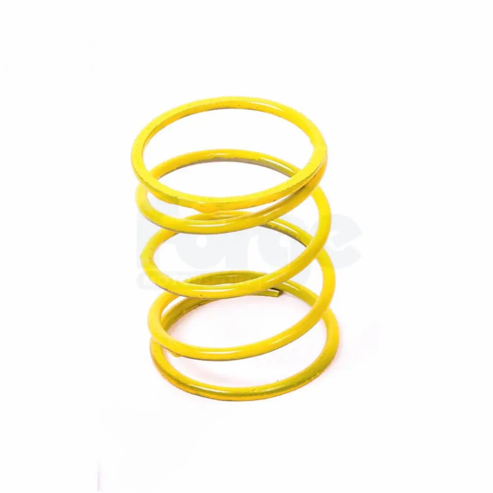 Dump Valve Spring (Single) 5